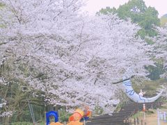 -杭州少年儿童公园