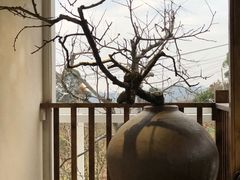 -观清澜疗愈民宿(龙泉山风景区店)