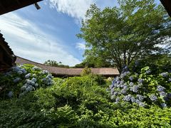 -济州森林小火车生态公园