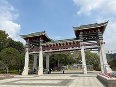 -王借岗森林公园