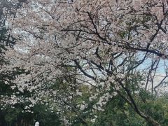 -杭州少年儿童公园