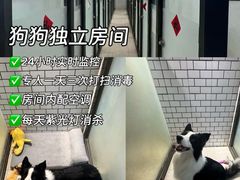 -趣玩宠物乐园寄养训犬训狗游泳池