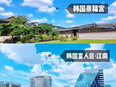 -新罗免税店(首尔总店)