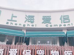 -爱侣宠医·鹦鹉专科·小型哺乳类·异宠专科(灵石路店)