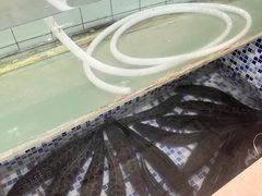 -老四川平头酸菜鱼(衙前店)