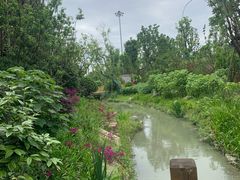 景点-天府芙蓉园
