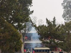 -潭柘寺景区