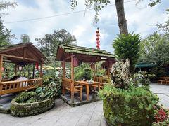 -青城甲(青城山店)