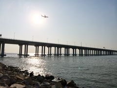 -宝安西湾红树林湿地公园