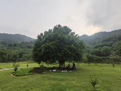 -黄龙带水库