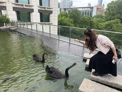 -行者书屋大堂吧 ·下午茶(南京圣和府邸酒店)