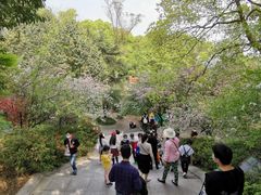 -南山植物园