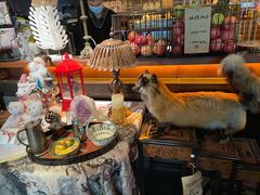 -杂咖zacup(领展中心城店)