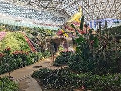 -花之城