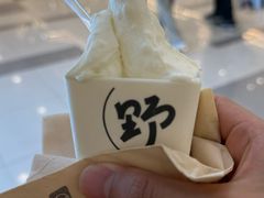 -野人先生Gelato(上海长宁龙之梦店)