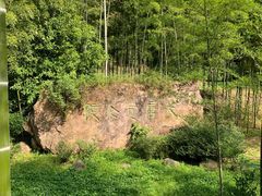 -大唐贡茶院