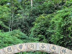 -西双版纳原始森林公园