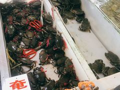 -南沙十九涌渔人码头-南门