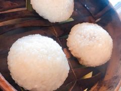茨毛圆子-双塔老饭店