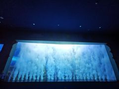 -多彩贵州城极地海洋世界