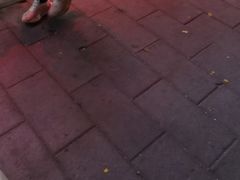 -石饮红星包子(中山路店)