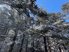 -峨眉山风景名胜区