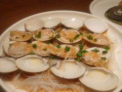 清蒸白贝粉丝-张家卫·阳江菜·小海鲜(肥婆湾桥店)