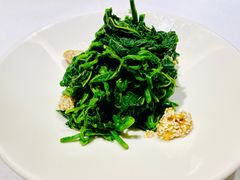 珀仁桑叶芽-彩虹之约•淮扬家宴(亚运村店)