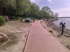 -丁香湖公园