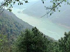 -铁山坪森林公园