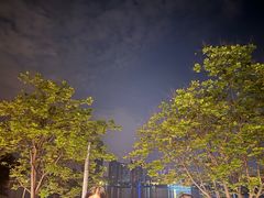 -武昌江滩