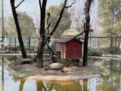 -常州淹城野生动物世界