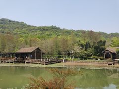 -八卦田遗址公园