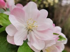 -鹫峰国家森林公园