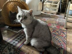 -青木造型HAIR·あおき髪を刈る潮人店