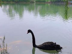 -海淀公园