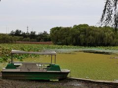 -东郊湿地公园