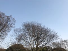 -无锡梅园公园