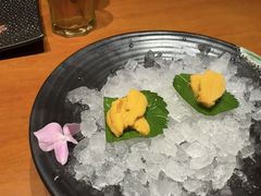 -月龍吟(朝龙汇店)