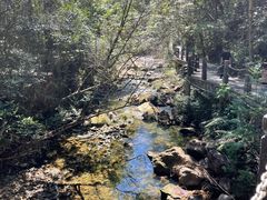 -九龙江国家森林公园