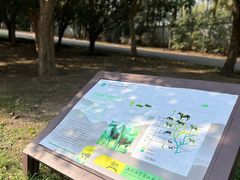 -南京市江宁方山