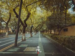 -颐和路民国时期公馆风貌区