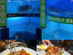 -千岛湖小鱼儿·淳安匠心农家菜