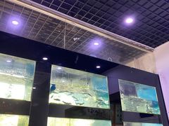 -全乐鱼馆·淳牌有机鱼直营店