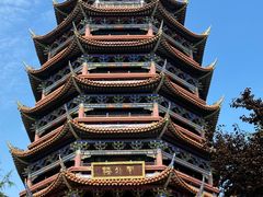 -铁山坪森林公园