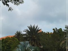 -惠州金海湾嘉华度假酒店