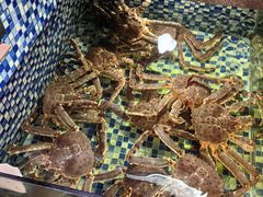 -顺德了能馆(虎门店)