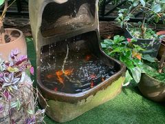 -T館·花园艺术餐厅