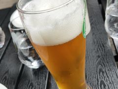 淡黄啤LightLight-布拉格餐厅· 中欧捷克菜(全国首店)