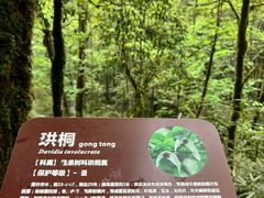 -龙苍沟森林公园